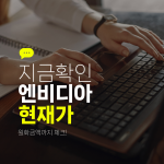 지금확인 엔비디아 현재가 원화금액까지 체크!